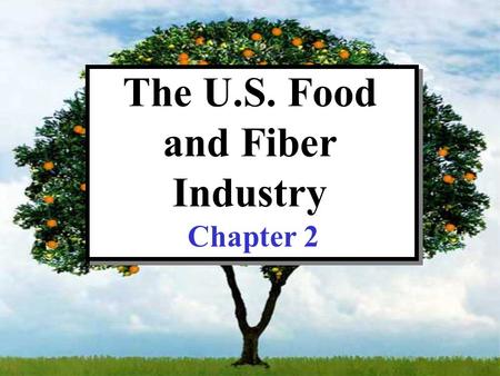 The U.S. Food and Fiber Industry Chapter 2. CHAPTER 2: TOPICS OF DISCUSSION Indices and nominal versus real values What is the food and fiber Industry?