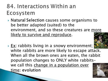  Natural Selection causes some organisms to be better adapted (suited) to the environment, and so these creatures are more likely to survive and reproduce.