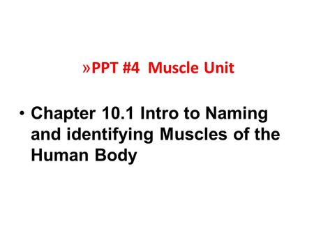 » PPT #4 Muscle Unit Chapter 10.1 Intro to Naming and identifying Muscles of the Human Body.