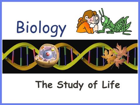 Biology The Study of Life. Characteristics of Living Things Made up of one or more Cells Reproduces Displays Organization (DNA) Grows & Develops Requires.