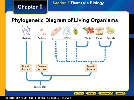 Chapter 1 Phylogenetic Diagram of Living Organisms Section 2 Themes in Biology.