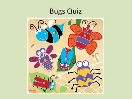 Bugs Quiz. Which bug has a Queen? Grasshopper SpiderBee Lady Bug.