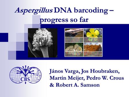 Aspergillus DNA barcoding – progress so far János Varga, Jos Houbraken, Martin Meijer, Pedro W. Crous & Robert A. Samson.