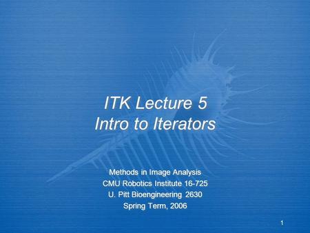 1 ITK Lecture 5 Intro to Iterators Methods in Image Analysis CMU Robotics Institute 16-725 U. Pitt Bioengineering 2630 Spring Term, 2006 Methods in Image.