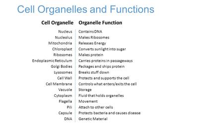 Cell Organelles and Functions