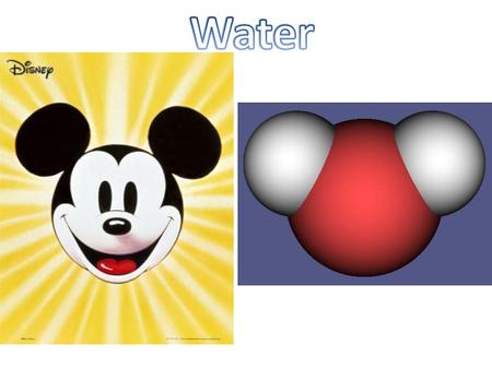 Water Basics Polar: part of a molecule is slightly positive, while another part is slightly negative Oxygen “hogs” electrons from hydrogen – 8 protons: