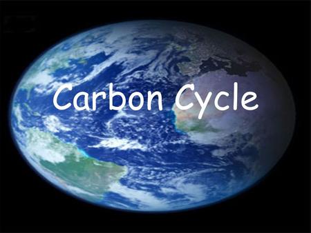 Carbon Cycle. Nutrient Cycles The constant supply of energy to Earth from the Sun replaces energy lost as it passes from link to link in a food chain.