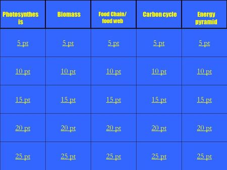 1 10 pt 15 pt 20 pt 25 pt 5 pt 10 pt 15 pt 20 pt 25 pt 5 pt 10 pt 15 pt 20 pt 25 pt 5 pt 10 pt 15 pt 20 pt 25 pt 5 pt 10 pt 15 pt 20 pt 25 pt 5 pt Photosynthes.