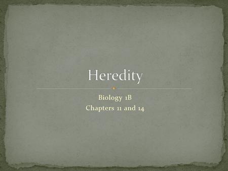 Biology 1B Chapters 11 and 14. 1.Define heredity and identify the units of heredity. 2.Discuss the design, results and conclusions of Mendel’s monohybrid.