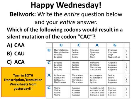 Happy Wednesday! Bellwork: Write the entire question below and your entire answer. Which of the following codons would result in a silent mutation of the.