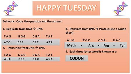 HAPPY TUESDAY CODON Bellwork: Copy the question and the answer.