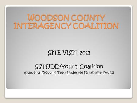 WOODSON COUNTY INTERAGENCY COALITION SITE VISIT 2011 SSTUDD/Youth Coalition (Students Stopping Teen Underage Drinking & Drugs)