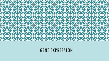 GENE EXPRESSION. Pretty Please Back doorBig Brother.