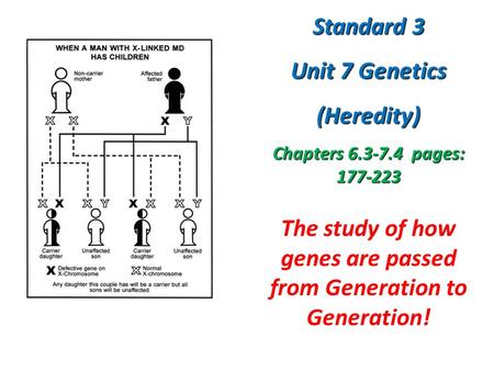 The study of how genes are passed from Generation to Generation! Standard 3 Unit 7 Genetics (Heredity) Chapters 6.3-7.4 pages: 177-223.