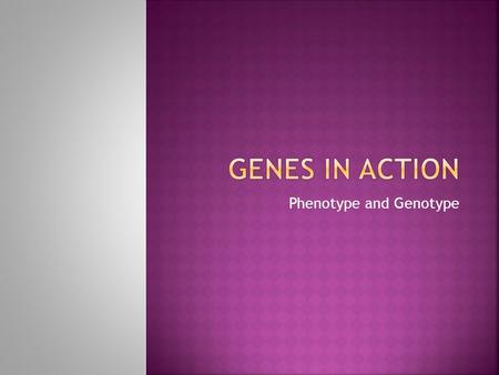 Phenotype and Genotype.  Your 46 chromosomes are a combination of chromosomes inherited from mum and dad.  Each chromosome is made up of two chromatids,