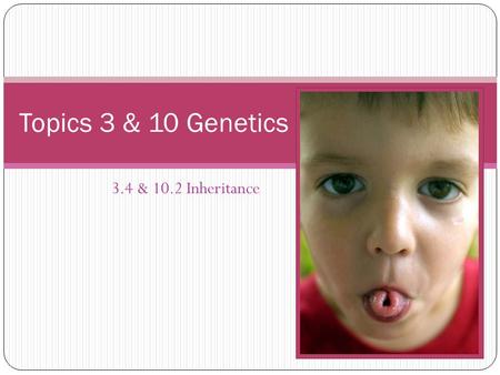 3.4 & 10.2 Inheritance Topics 3 & 10 Genetics. 1 – Understanding Genes Read & Consider Understandings 3.4.1-3.4.4 & 10.2.1-10.2.4 How many alleles of.