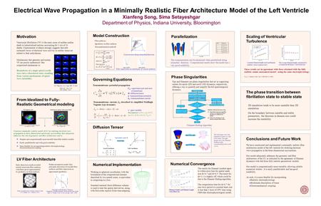 Numerical Implementation Diffusion Tensor Governing Equations From Idealized to Fully- Realistic Geometrical modeling Phase Singularities Model Construction.