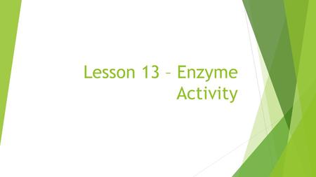 Lesson 13 – Enzyme Activity