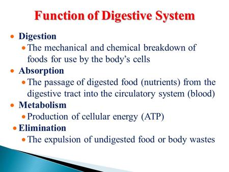 Function of Digestive System  Digestion  The mechanical and chemical breakdown of foods for use by the body’s cells  Absorption  The passage of digested.