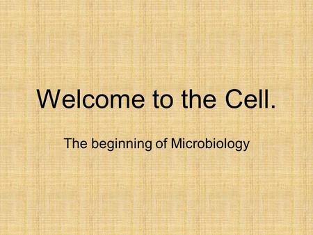 The beginning of Microbiology