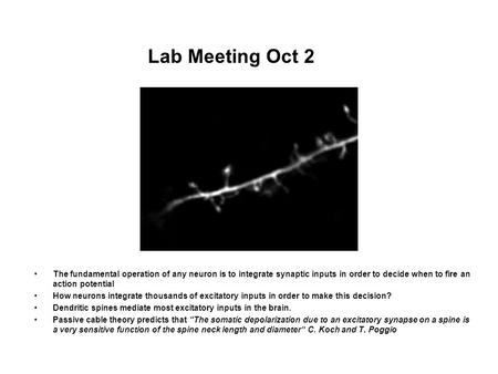 Lab Meeting Oct 2 The fundamental operation of any neuron is to integrate synaptic inputs in order to decide when to fire an action potential How neurons.