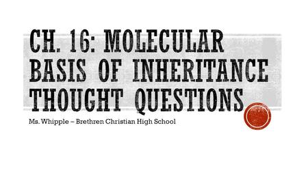 Ms. Whipple – Brethren Christian High School.  When T. H. Morgan’s group showed that genes are located on chromosomes, the two components of chromosomes—DNA.