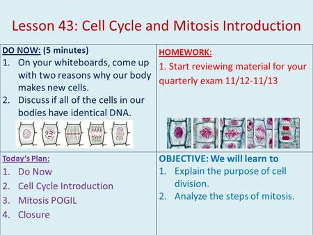 Lesson 43: Cell Cycle and Mitosis Introduction DO NOW: (5 minutes) 1.On your whiteboards, come up with two reasons why our body makes new cells. 2.Discuss.