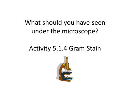 What should you have seen under the microscope. Activity 5. 1