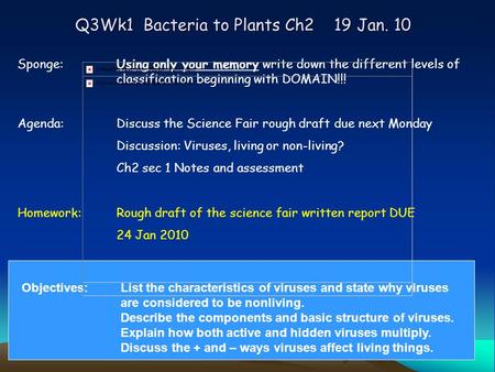 Q3Wk1 Bacteria to Plants Ch2 19 Jan. 10 Sponge:Using only your memory write down the different levels of classification beginning with DOMAIN!!! Agenda: