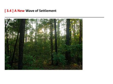 [ 3.4 ] A New Wave of Settlement. Learning Objectives Analyze why people migrated to Texas and where they settled. Discuss how Mexico’s independence from.