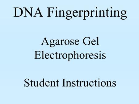 DNA Fingerprinting Agarose Gel Electrophoresis Student Instructions