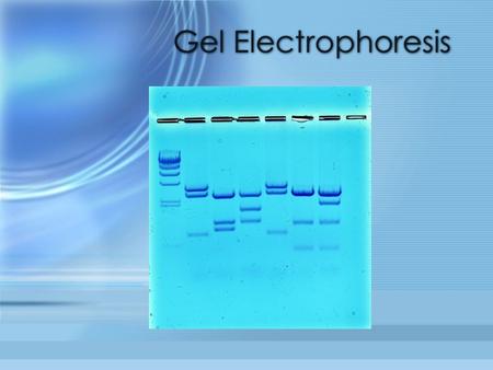 Gel Electrophoresis What is Gel Electrophoresis? Gel electrophoresis separates molecules on the basis of their charge and size. The charged macromolecules.