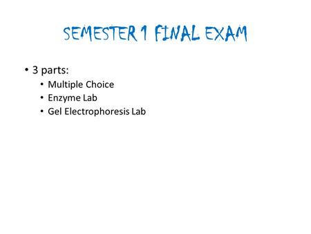 SEMESTER 1 FINAL EXAM 3 parts: Multiple Choice Enzyme Lab Gel Electrophoresis Lab.