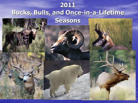 2011 Bucks, Bulls, and Once-in-a-Lifetime Seasons.