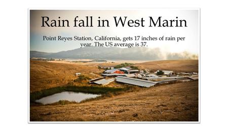 Rain fall in West Marin Point Reyes Station, California, gets 17 inches of rain per year. The US average is 37.