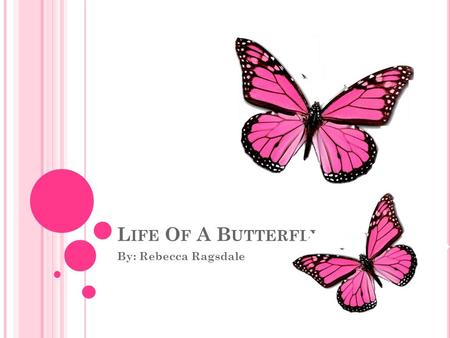 L IFE O F A B UTTERFLY By: Rebecca Ragsdale. C OURSE O BJECTIVES After this lesson, children should be able to: Properly identify the stages of the life.