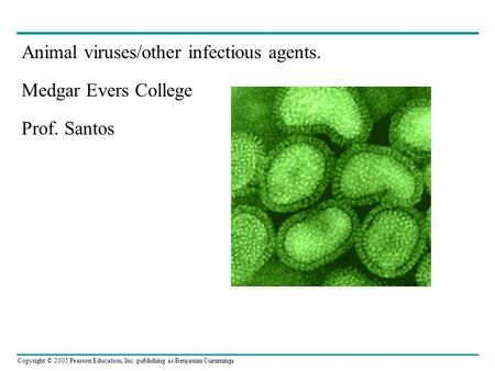 Copyright © 2005 Pearson Education, Inc. publishing as Benjamin Cummings Animal viruses/other infectious agents. Medgar Evers College Prof. Santos.