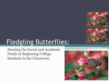 Fledgling Butterflies: Meeting the Social and Academic Needs of Beginning College Students in the Classroom.