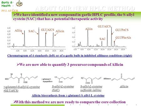 ABOUT OUR NEW HPLC METHOD  We have identified a new compound in garlic HPLC profile, the S-allyl cystein (SAC) that has a potential therapeutic activity.