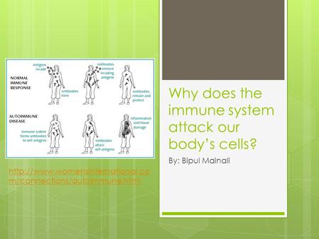 Why does the immune system attack our body’s cells? By: Bipul Mainali  m/connections/autoimmune.html.