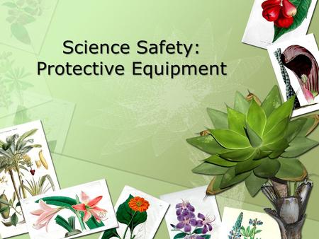 Science Safety: Protective Equipment. Key Question What protective equipment should be provided in elementary science environments (indoors or out) for.