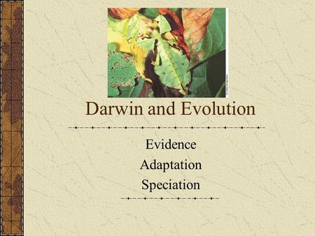 Darwin and Evolution Evidence Adaptation Speciation.