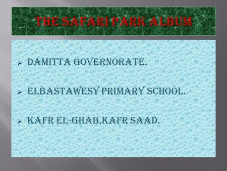  Damitta Governorate.  ElBastawesy Primary School.  Kafr El-Ghab,Kafr Saad.