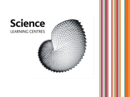 Teacher and Science Support Staff Recognition Scheme recognises commitment to and the impact of professional development three categories: Effective Science.