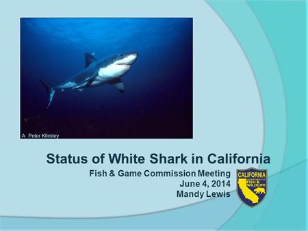 Status of White Shark in California Fish & Game Commission Meeting June 4, 2014 Mandy Lewis A. Peter Klimley.