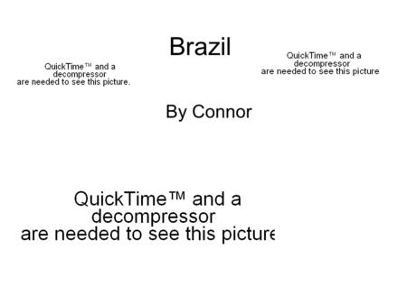 Brazil By Connor. plants Brazil has a lot of plants. People are killing the plants and the trees because they need it for lumber.