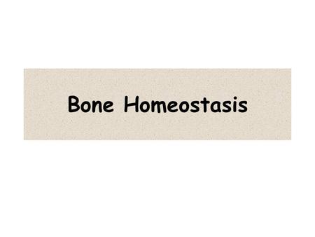 Bone Homeostasis.