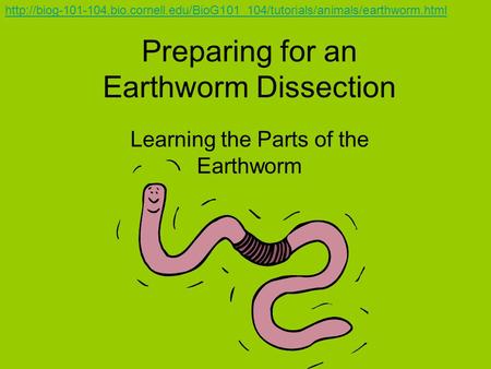 Preparing for an Earthworm Dissection