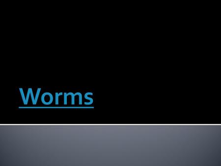  Worm Anatomy:  There are 3 major phyla of worms:  Annelida: segmented worms  Platyhelminthes: flat worms  Nematoda: round worms  Interestingly,