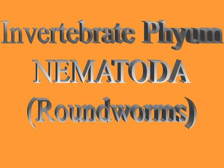 Vocabulary Pseudocoelom = a body between the mesoderrn and the endoderm Cuticle = thick, tough, outer covering that protects the worm.